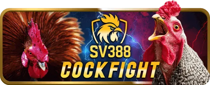 Chào mừng đến với tin888 win